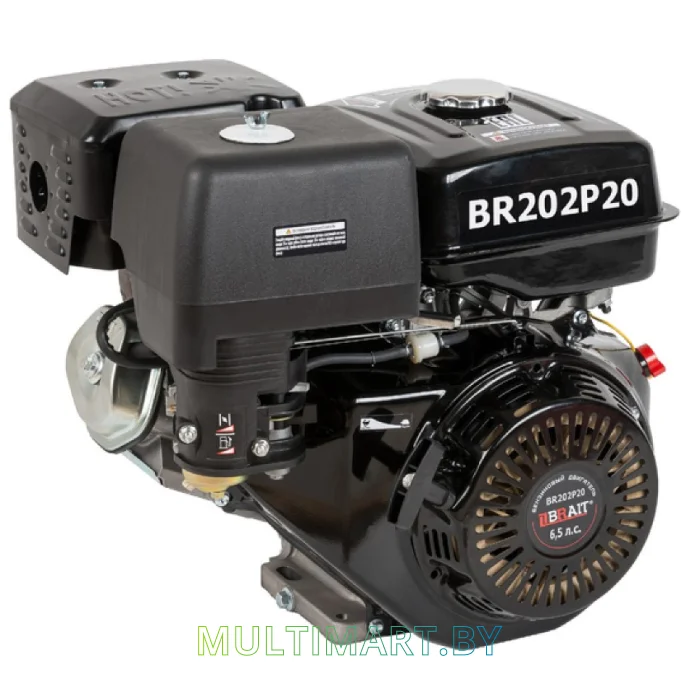 Бензиновый двигатель Brait BR202P20